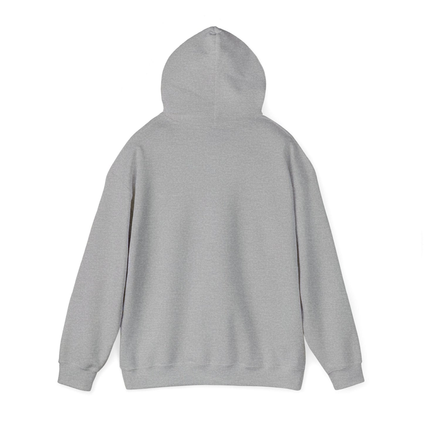 Progress Not Perfection Hoodie | Unisex Heavy Blend | Motivational